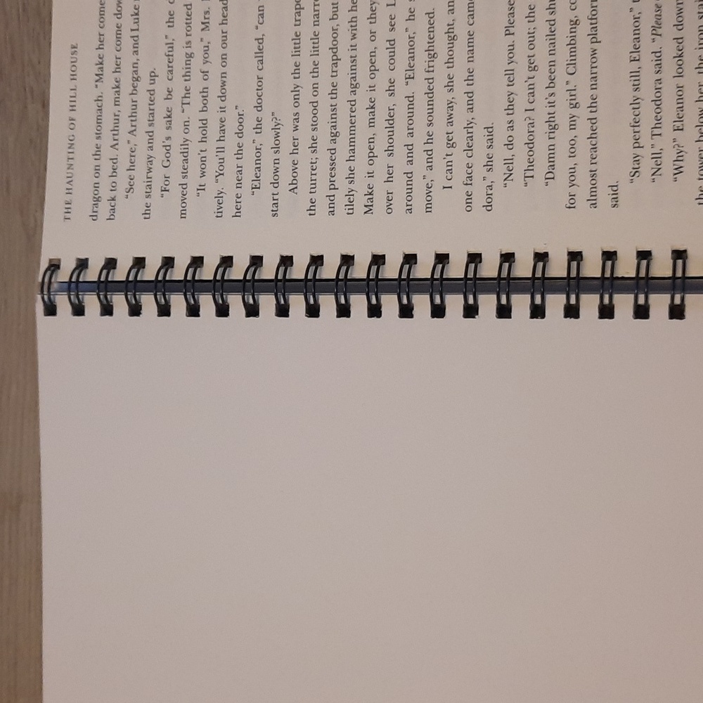 Secret Journal " The Haunting of Hill House" - Picture 4 of 6